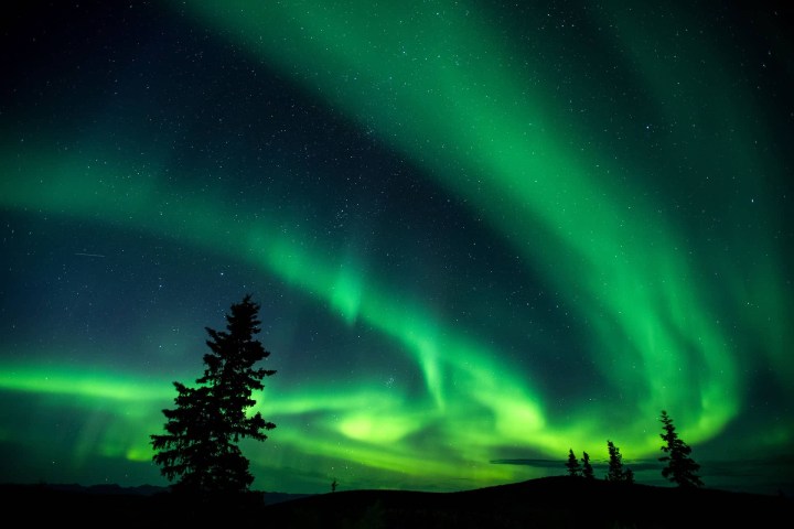Vivid green aurora borealis lights in a starry night sky over silhouetted trees.
