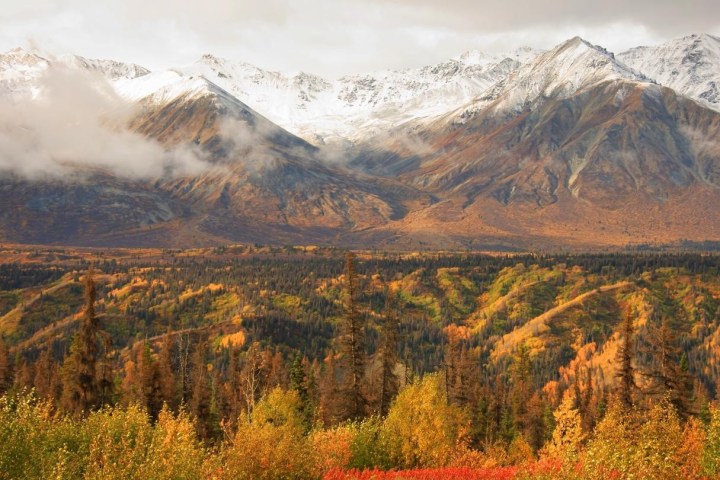 Snow-capped mountains above a forest with autumn foliage.