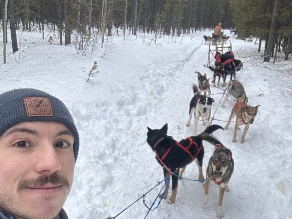 Person in winter clothing with sled dogs in snowy forest.