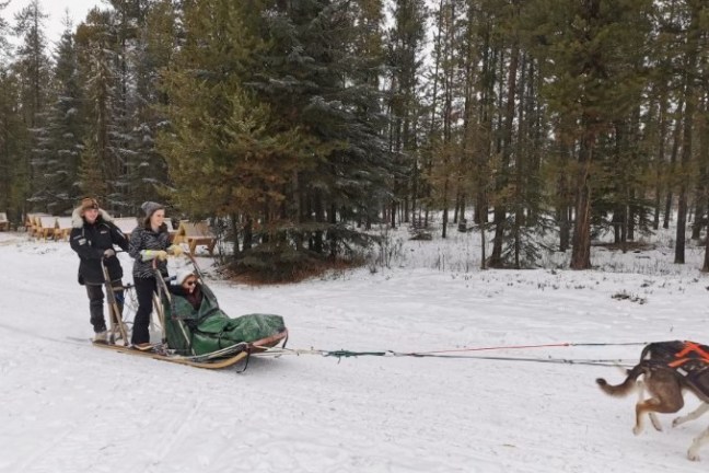 Two people riding a dogsled pulled by huskies in snowy forest.