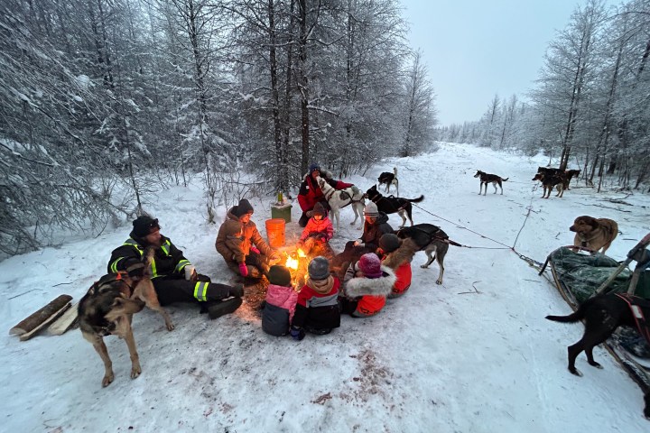 Group around a campfire in snowy forest with sled dogs nearby.
